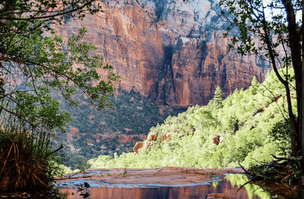 Weeping Rock in Zion National Park offers a unique and picturesque hiking destination, featuring a rock formation that appears to weep water droplets from the sandstone cliffs.