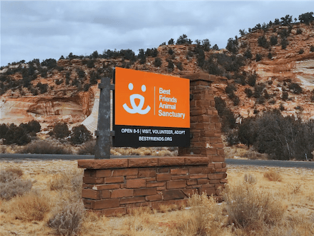 Zion White Bison Glamping View of Resort