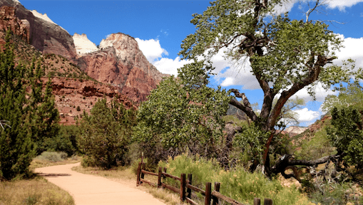 Zion White Bison Glamping View of Resort