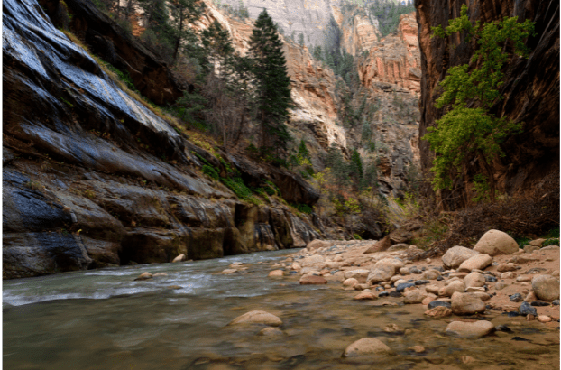 Weeping Rock in Zion National Park offers a unique and picturesque hiking destination, featuring a rock formation that appears to weep water droplets from the sandstone cliffs.