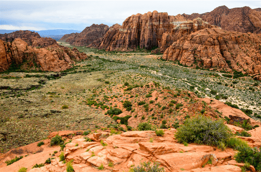 Zion White Bison Glamping View of Resort