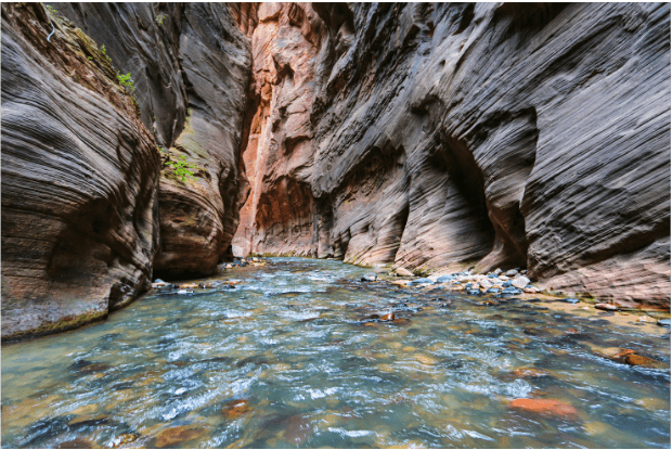 Weeping Rock in Zion National Park offers a unique and picturesque hiking destination, featuring a rock formation that appears to weep water droplets from the sandstone cliffs.