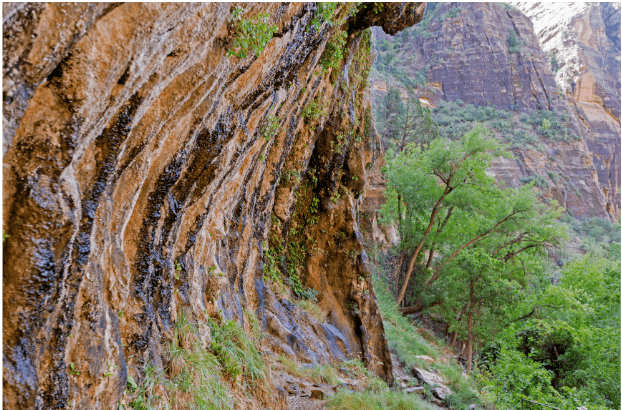 Weeping Rock in Zion National Park offers a unique and picturesque hiking destination, featuring a rock formation that appears to weep water droplets from the sandstone cliffs.