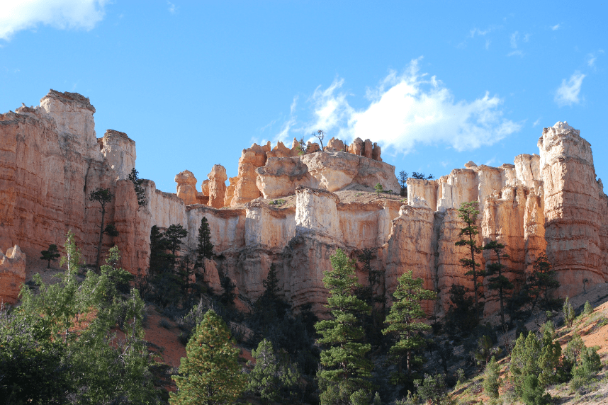 Majestic sandstone cliffs and pine trees under a clear blue sky in Zion National Park, showcasing the land once cared for by its ancient stewards.