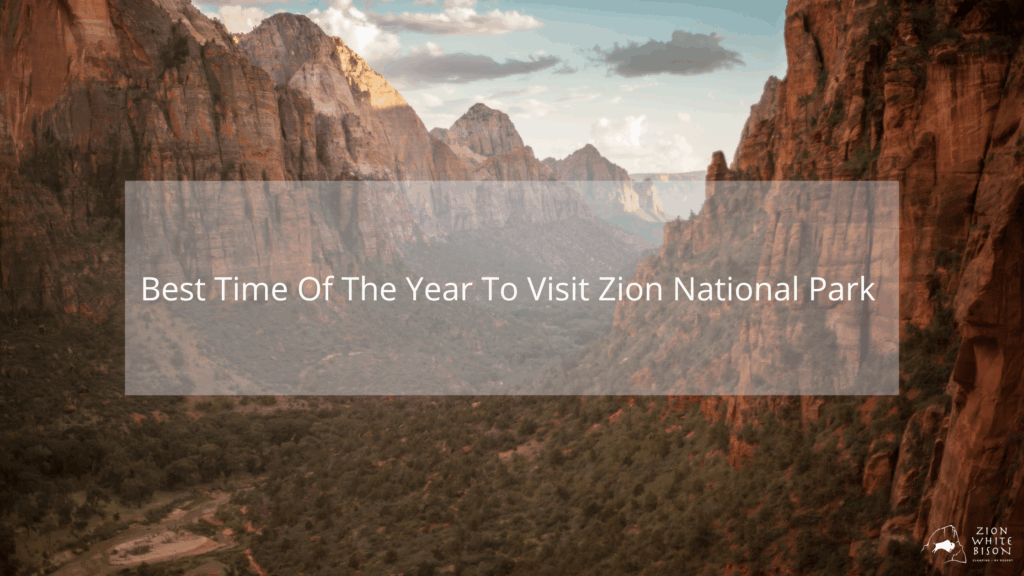 Best Time of the year to visit zion national park