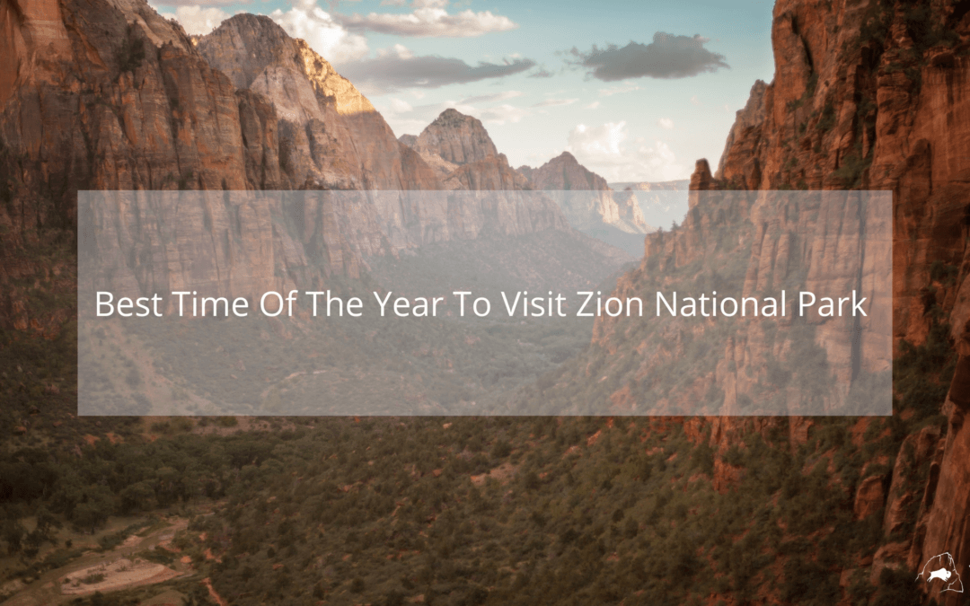 What Is The Best Time Of Year To Visit Zion National Park