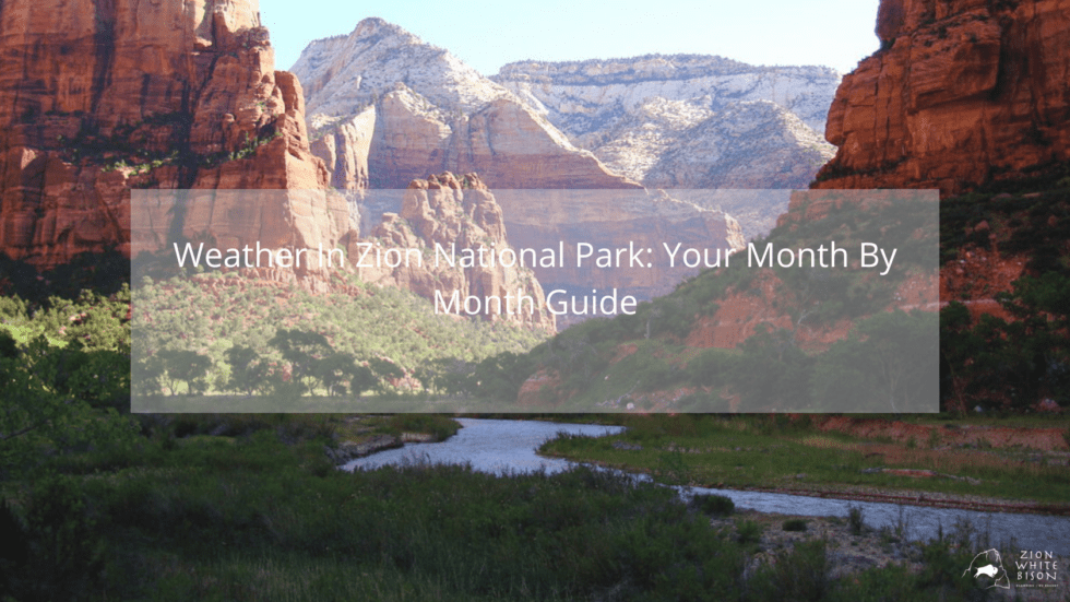 Weather In Zion National Park Month by Month Guide Zion White Bison