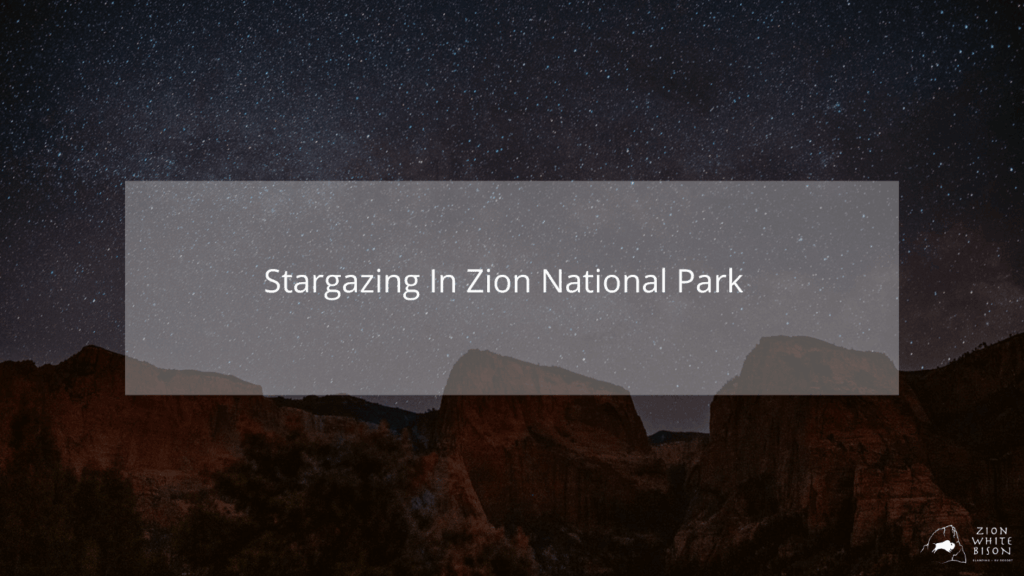 Stargazing in Zion National Park