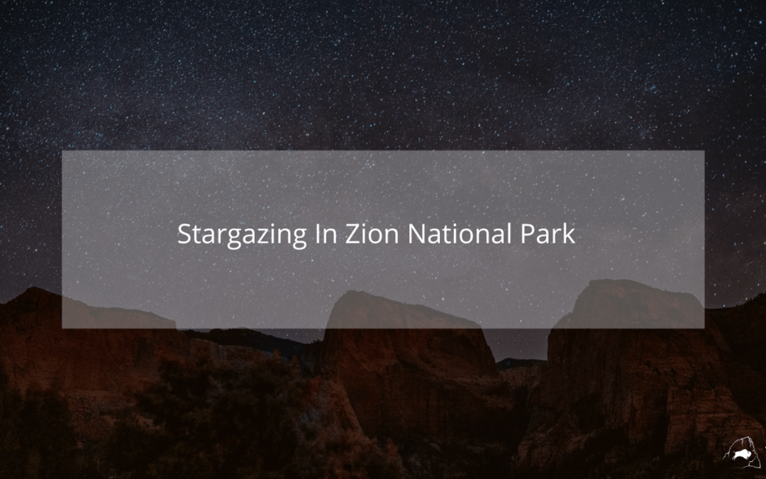 Stargazing in Zion National Park