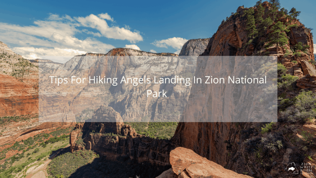tips for hiking angels landing in Zion national park
