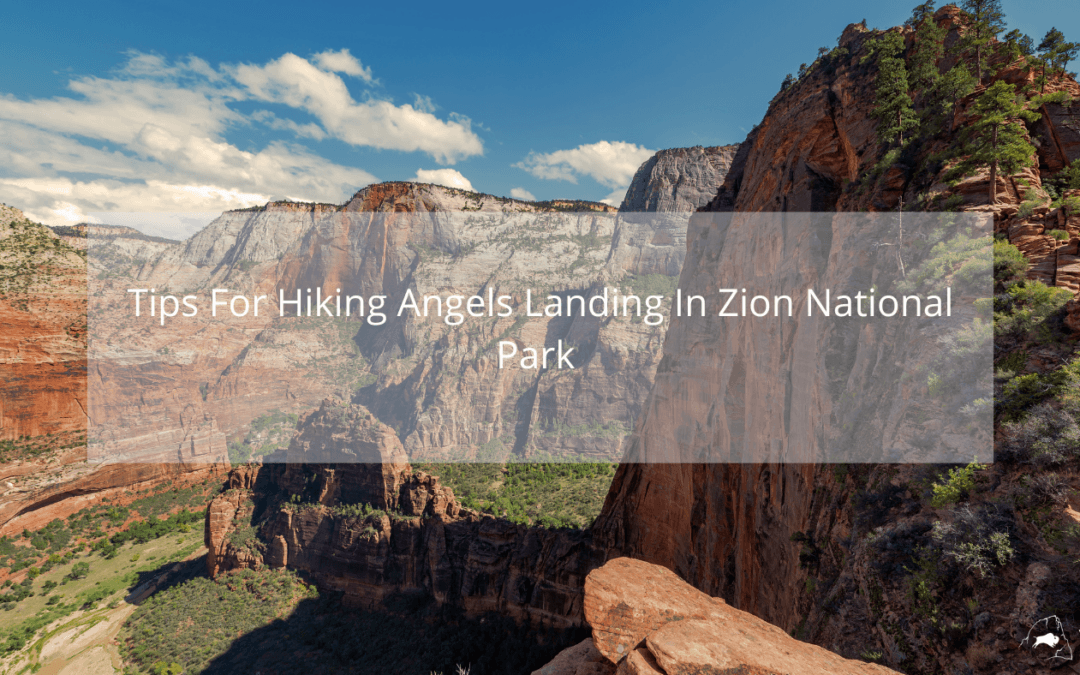 Tips for hiking Angels Landing In Zion National Park [Infographic]