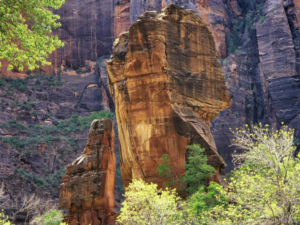 The Pulpit Zion National Park 