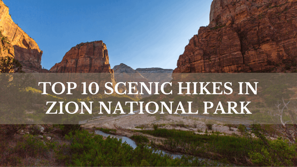 Scenic Hikes In Zion National Park