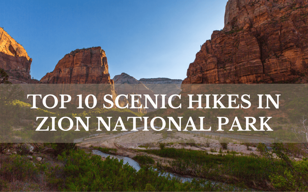 Top 10 Scenic Hikes In Zion