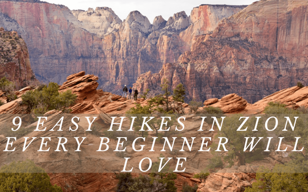 Easy Hikes In Zion National Park