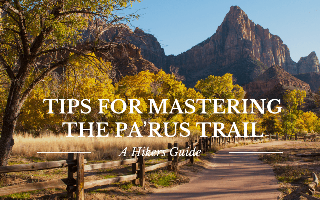 Exploring The Pa’rus Trail – A Hikers Guide