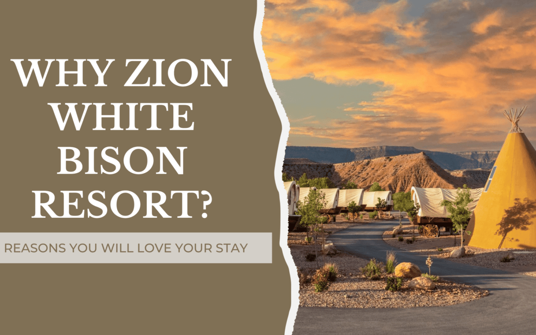 Why Zion White Bison? 10 Reasons You Will Love Your Stay