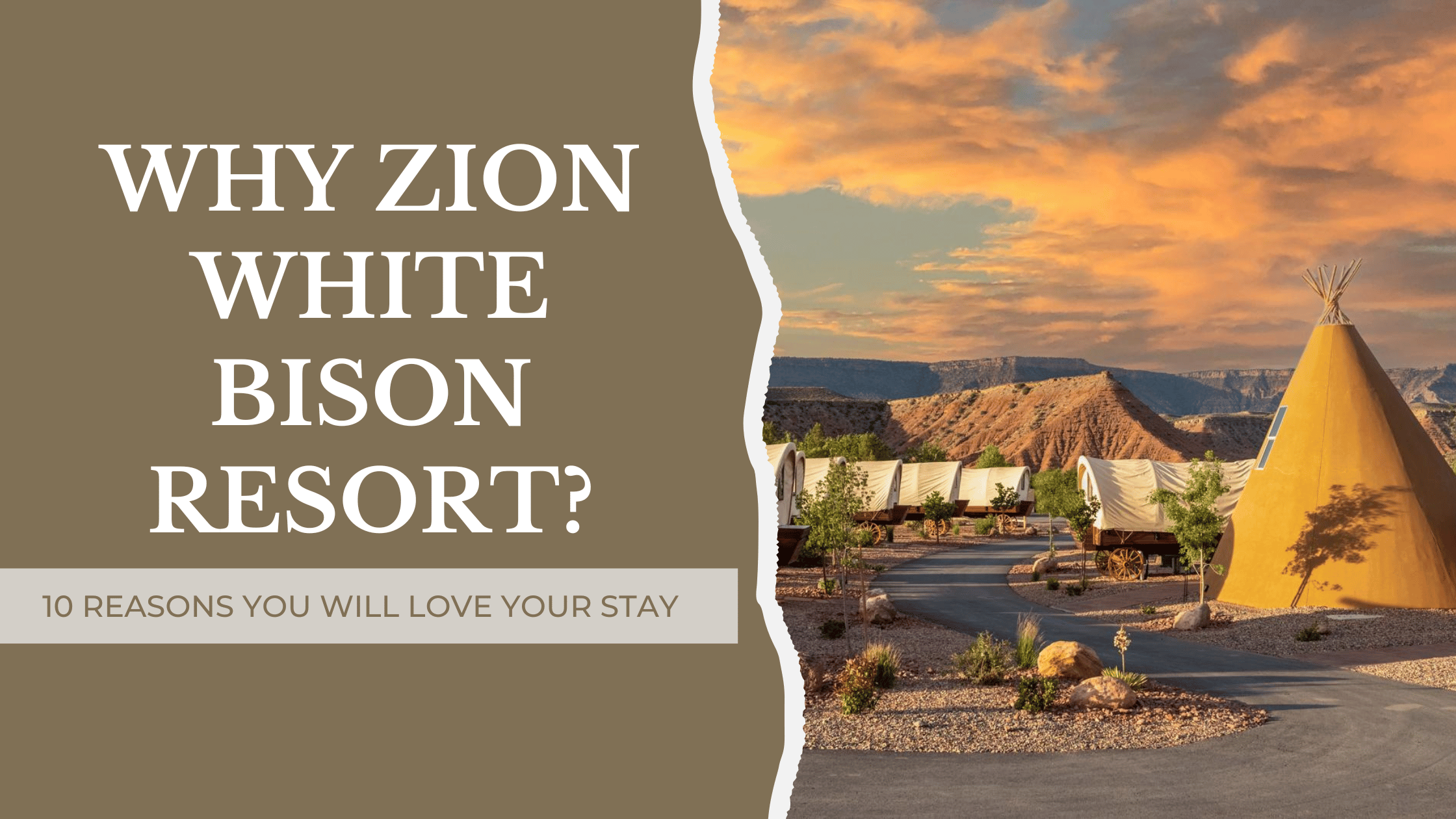 Why Zion White Bison Resort?