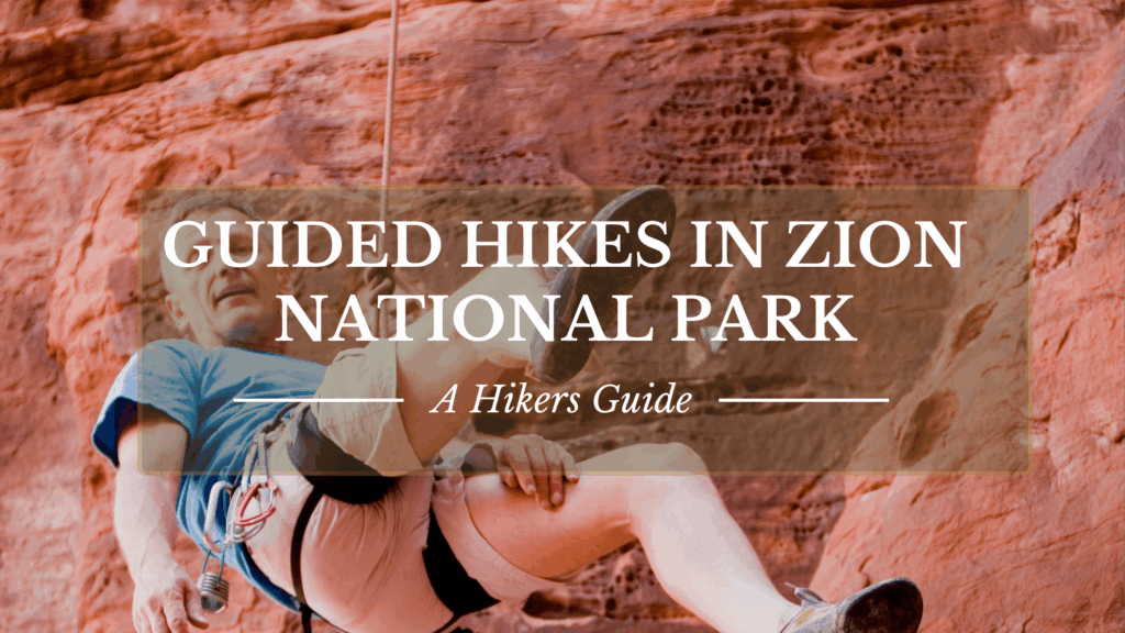 Guided Hikes In Zion National Park