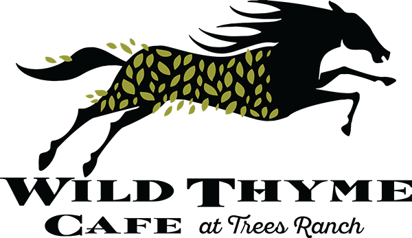 Wild Thyme Cafe 